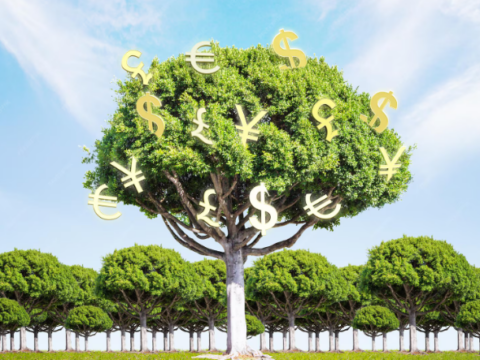 Create Multiple Income Streams for Sustainable Wealth